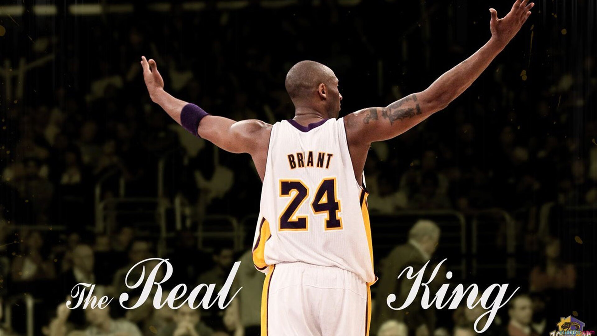 弗朗索瓦·斯图尔特：经验丰富的中场，南非队强大防线的幕后推手